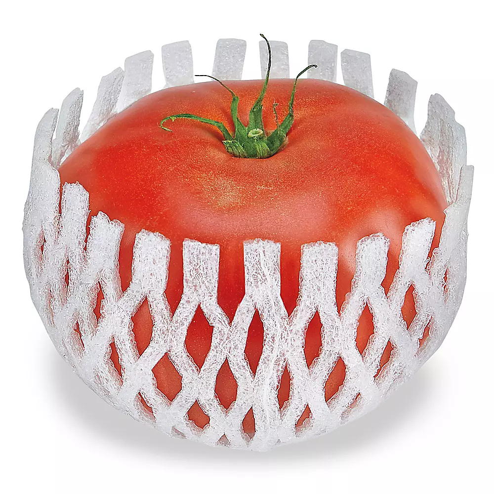 Foam Netting - 2 3/4 x 3 1/4"